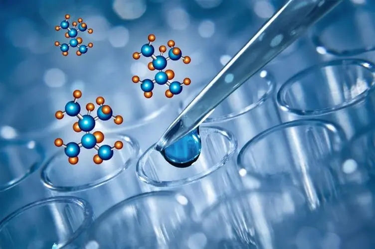 蛋白质代谢的全过程